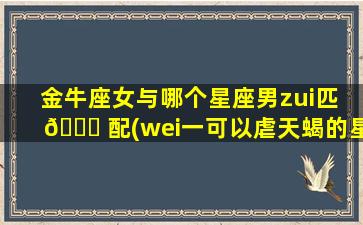 金牛座女与哪个星座男zui
匹 💐 配(wei一
可以虐天蝎的星座)